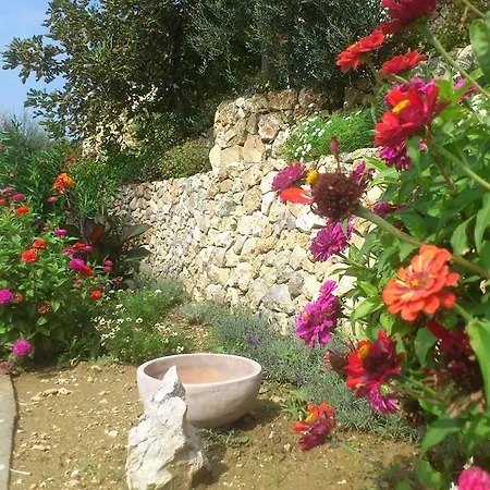 Mora Villa