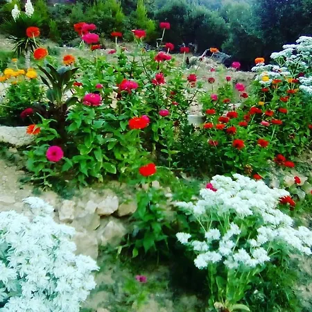 Mora Villa